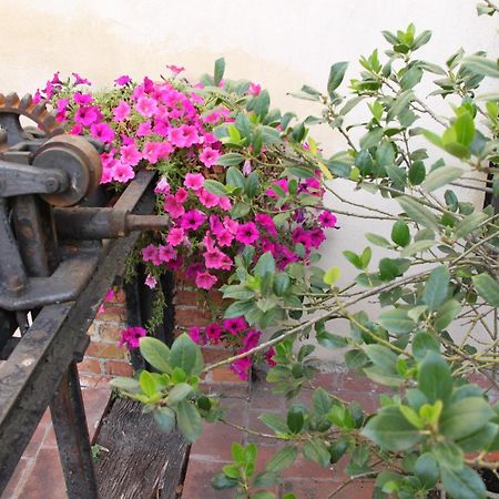 Hotel La Vecchia Cartiera Colle di Val d'Elsa Exterior foto