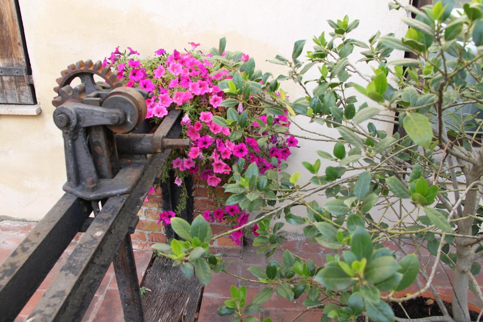 Hotel La Vecchia Cartiera Colle di Val d'Elsa Exterior foto